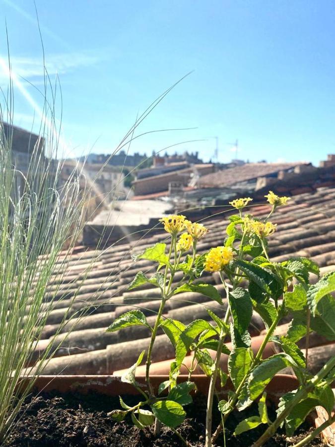 Rooftop Face à la Cité 'RFC' Carcassonne Extérieur photo